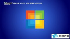 ����ľ��Win11 64λ ���������� 2021.08